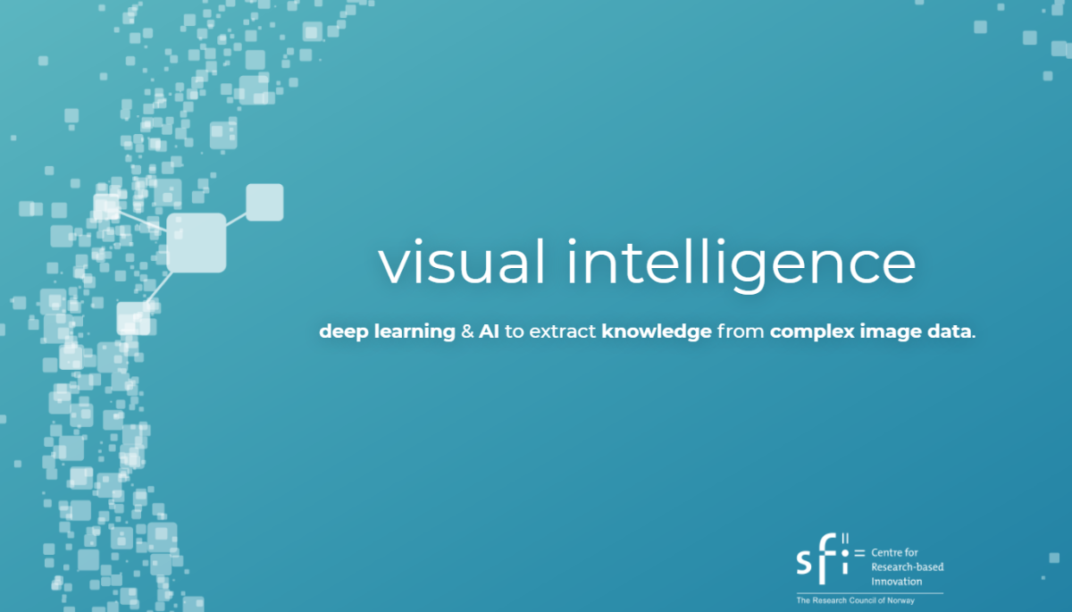 SFI Visual Intelligence Seminar AI and Biomedicine the Hospital of